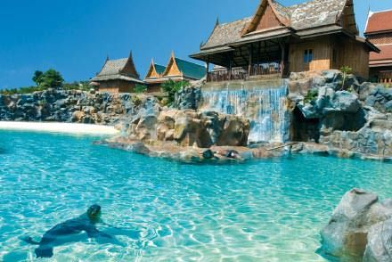 Die Seelöweninsel Siam Park Teneriffa